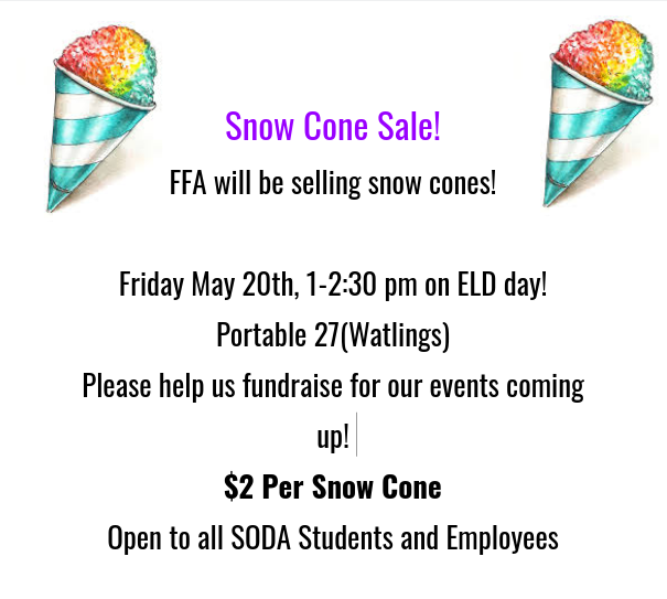 Image is a flyer for snow cone sale